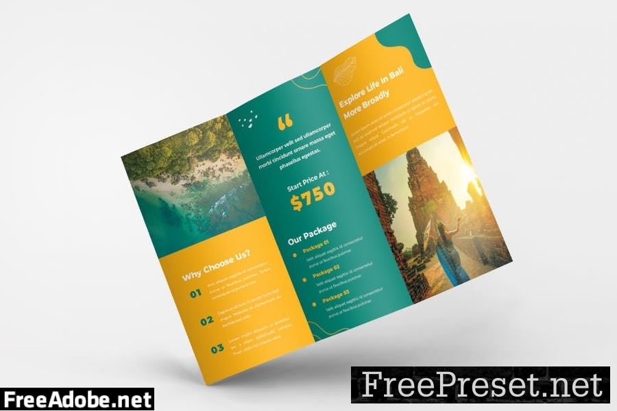 Travel Package Trifold Brochure