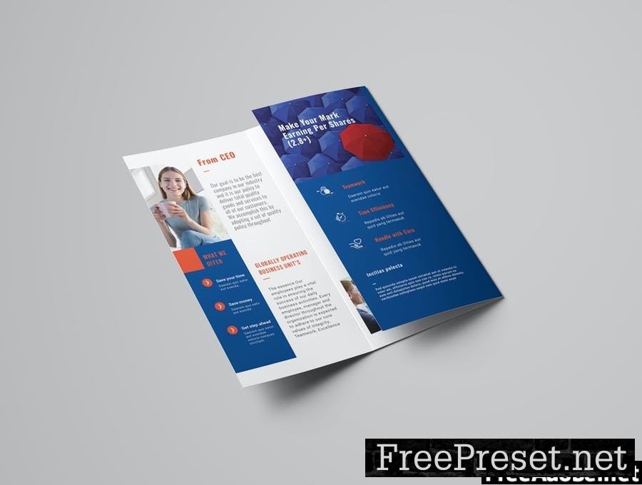 Trifold Brochure