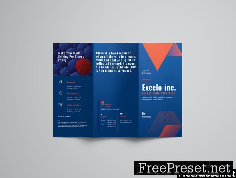 Trifold Brochure