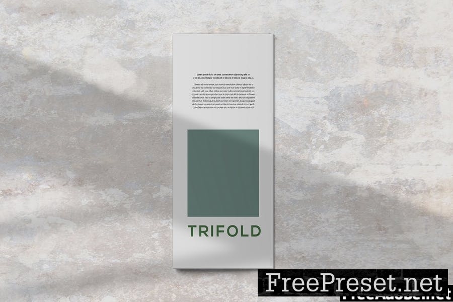 Trifold Brochure Mockup