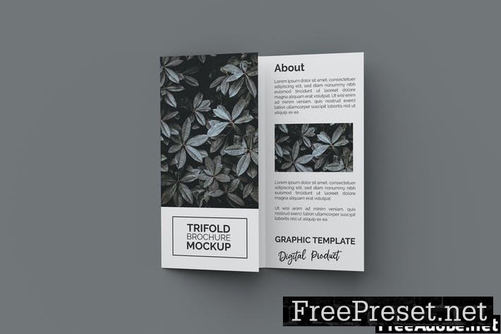 Trifold Brochure Mockup QTX36GZ