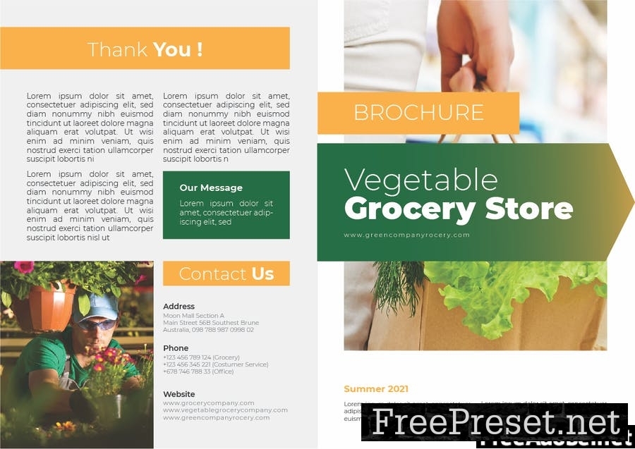 Vegetable Grocery Company Brochure D7TUQGL