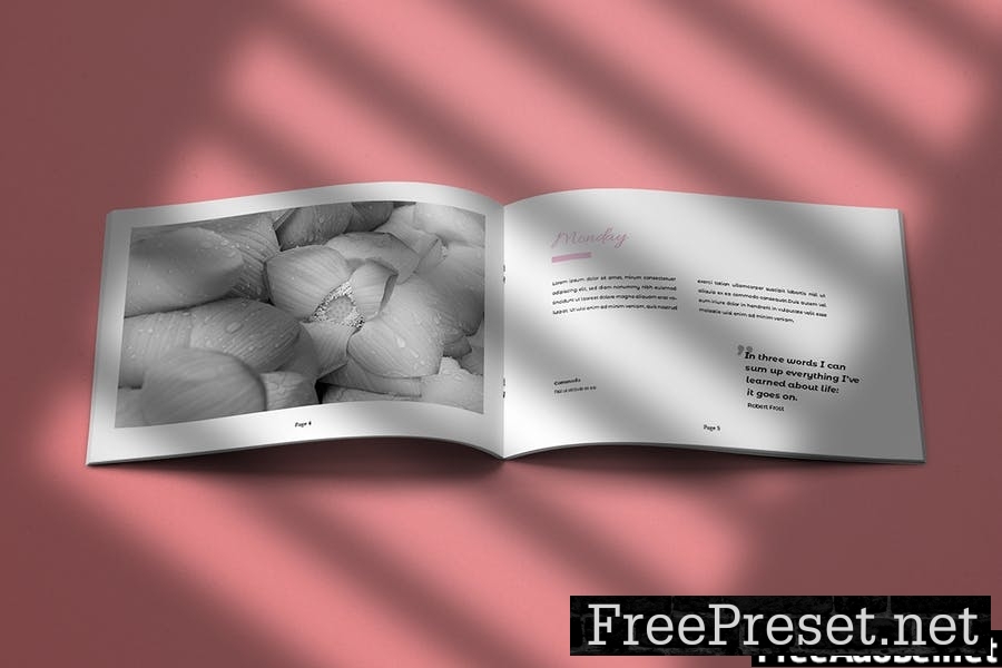 Vinette - Landscape Brochure Template Indesign