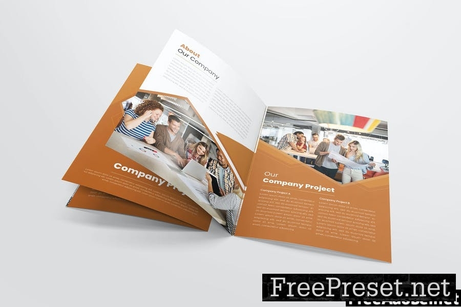 Web Project | Bifold Brochure