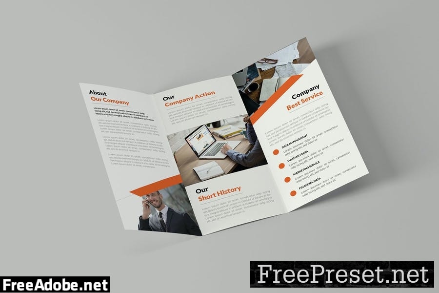 Web Project | Trifold Brochure