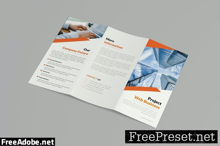 Web Project | Trifold Brochure