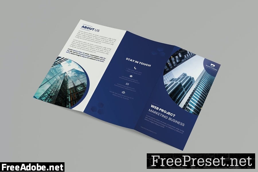 Web Project | Trifold Brochure AVQNJ2C