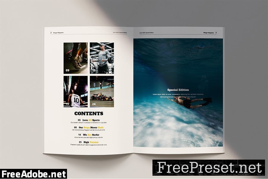 Winger - Magazine Template 4FG8CJ7