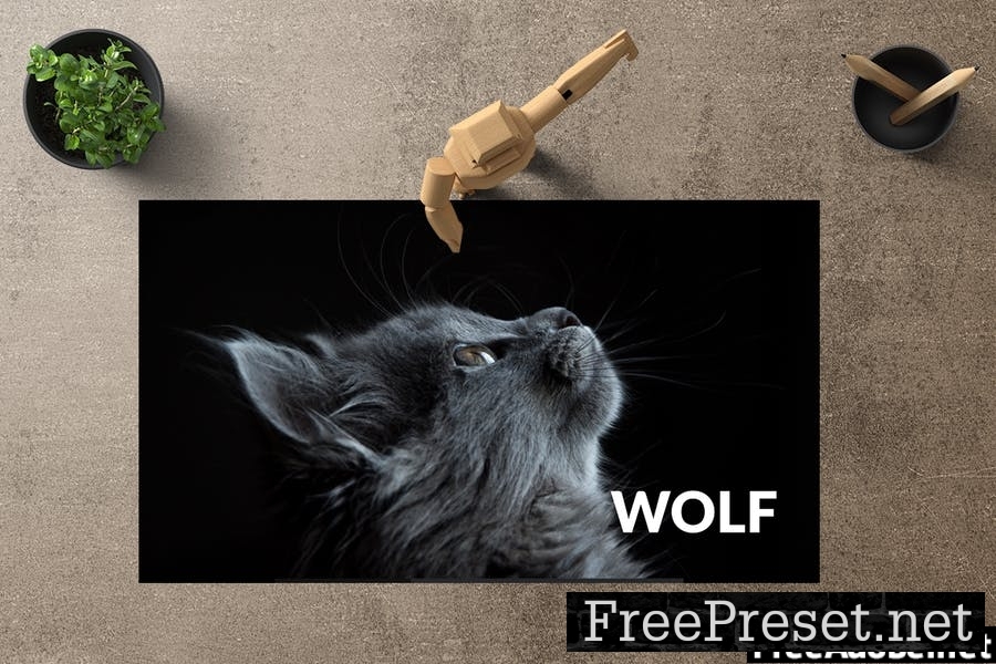 WOLF Google Slides