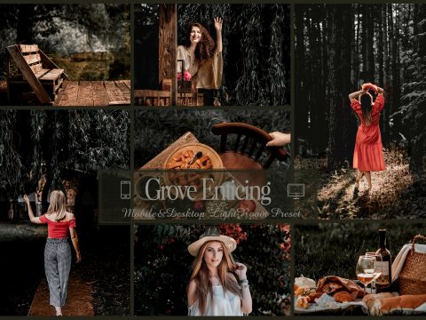 12 Grove Enticing Lightroom Presets