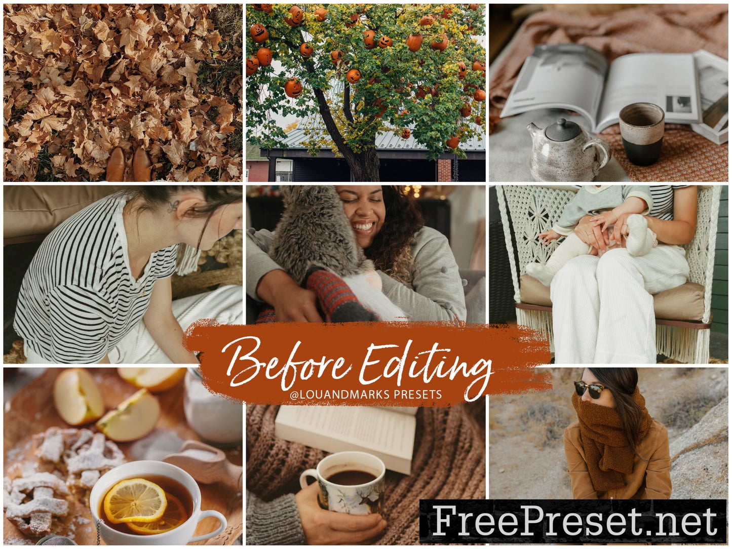 Cinnamon Presets