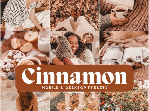 Cinnamon Presets