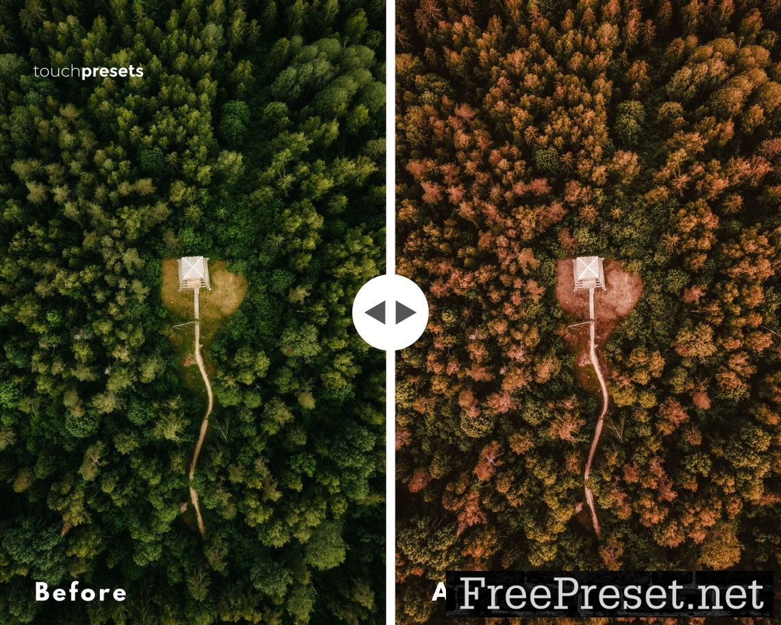 12 Mobile Lightroom Presets, Desktop Presets, Fall Presets, Autumn Presets