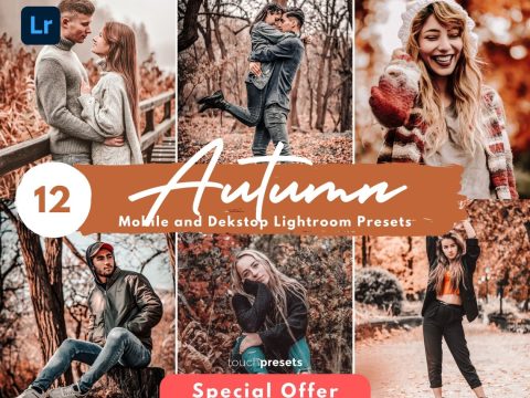 12 Mobile Lightroom Presets, Desktop Presets, Fall Presets, Autumn Presets