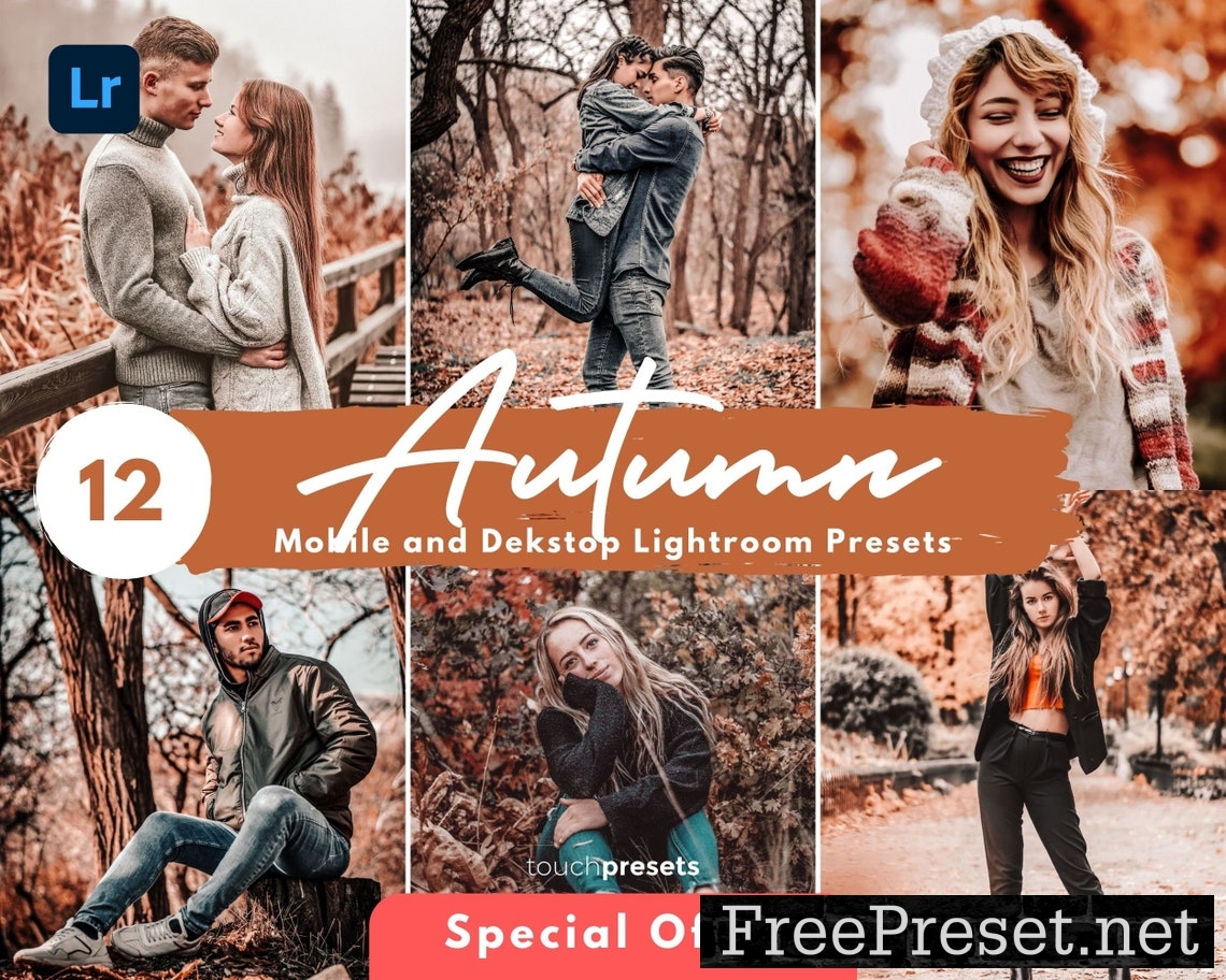 12 Mobile Lightroom Presets, Desktop Presets, Fall Presets, Autumn Presets