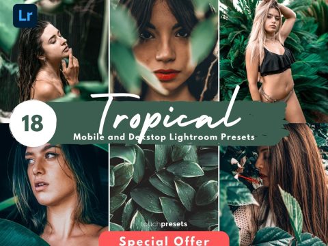 18 Lightroom Presets Desktop, Mobile Presets, Tropical Presets, Travel Presets