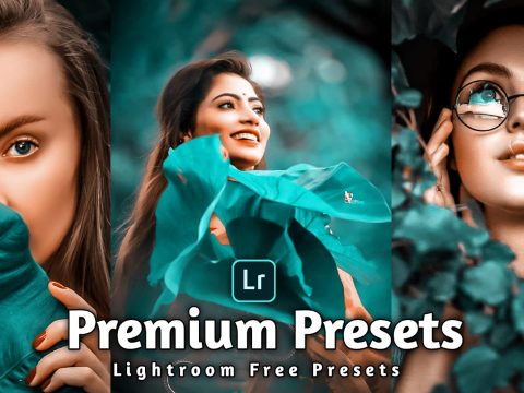 The best free lightroom presets for download- Easy and safe