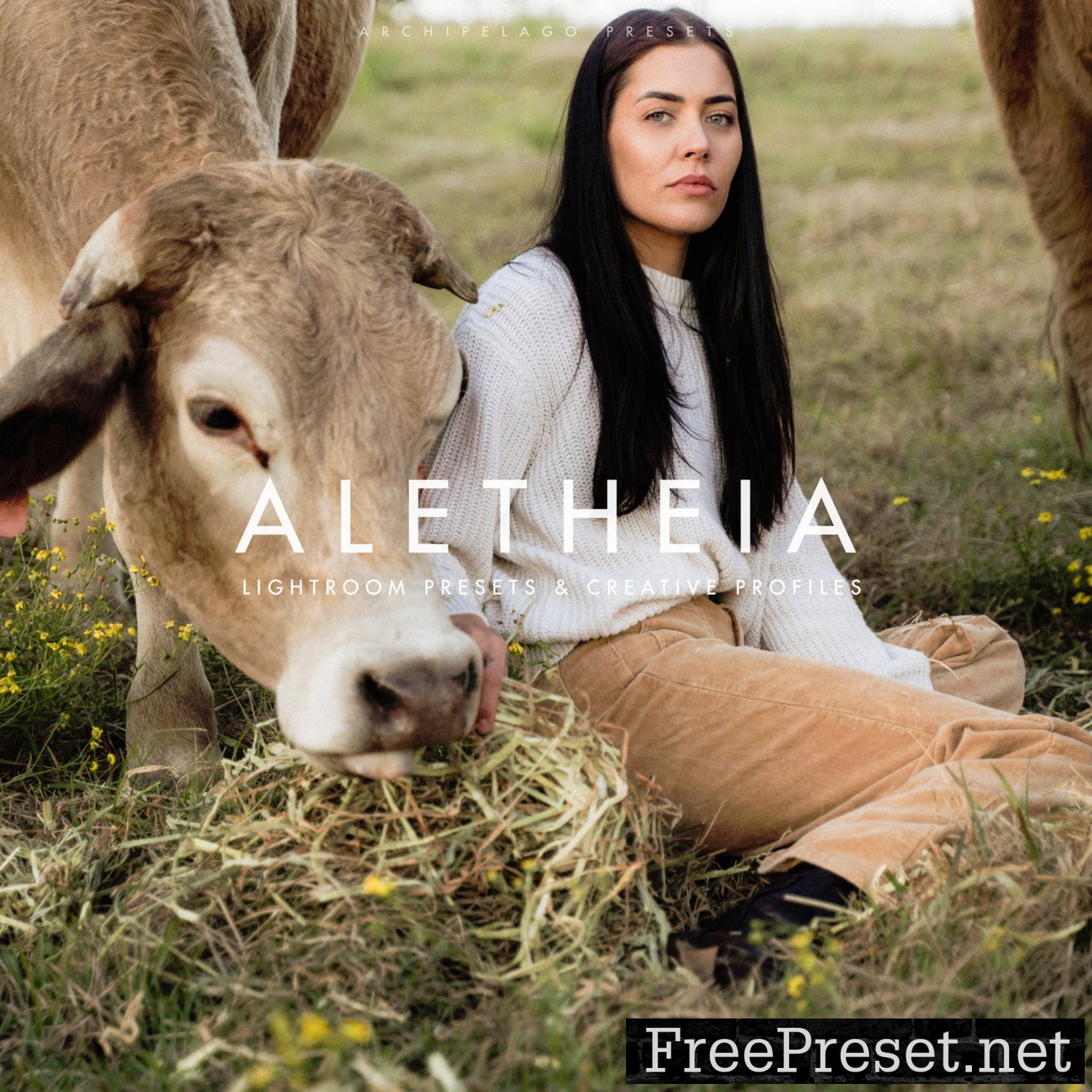 Archipelago - Aletheia Presets