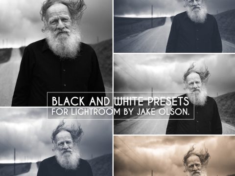 Jake Olson’s Black and White Preset Collection