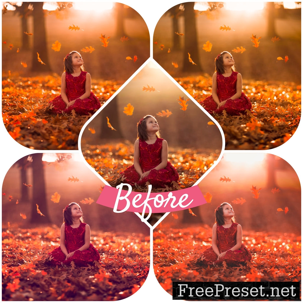 Jake Olson’s Fall Collection Presets