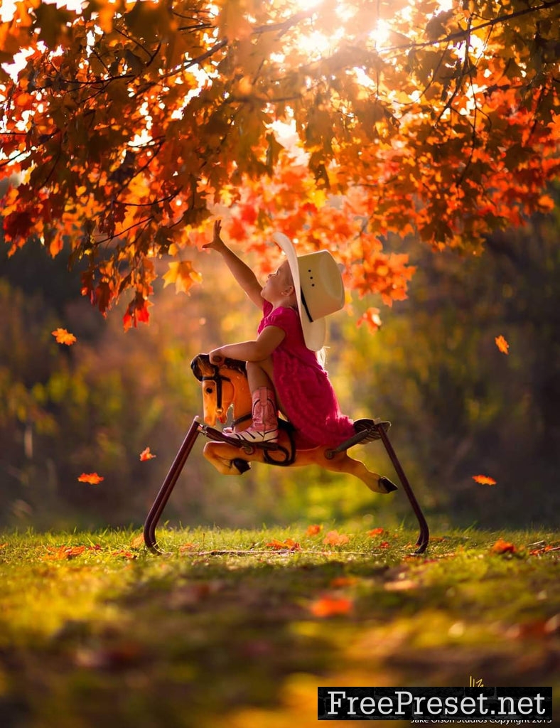 Jake Olson’s Fall Collection Presets