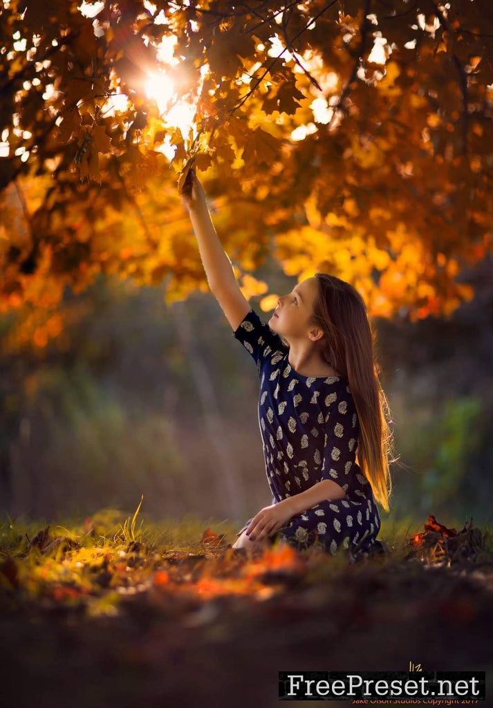 Jake Olson’s Fall Collection Presets