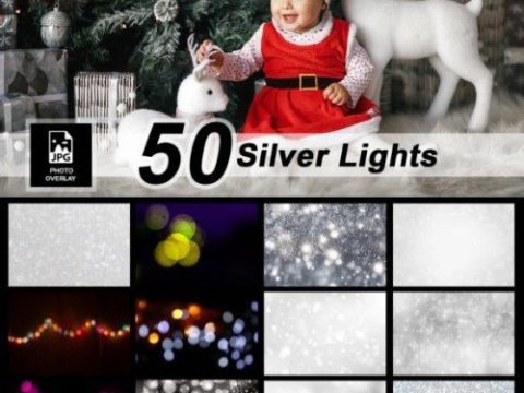 50 Silver Lights Photo Overlay