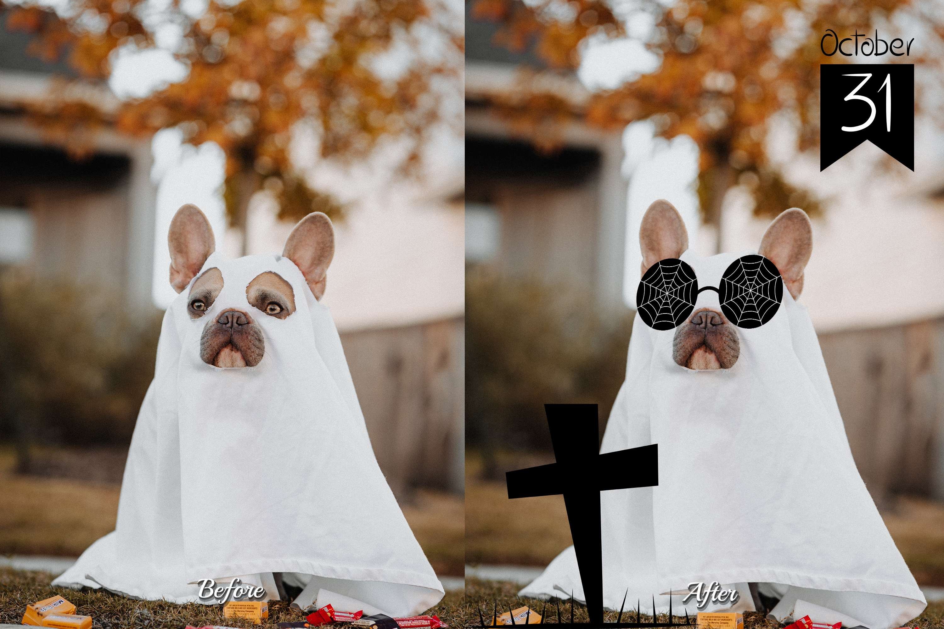 70 Halloween Badge PNGs Photo Overlays