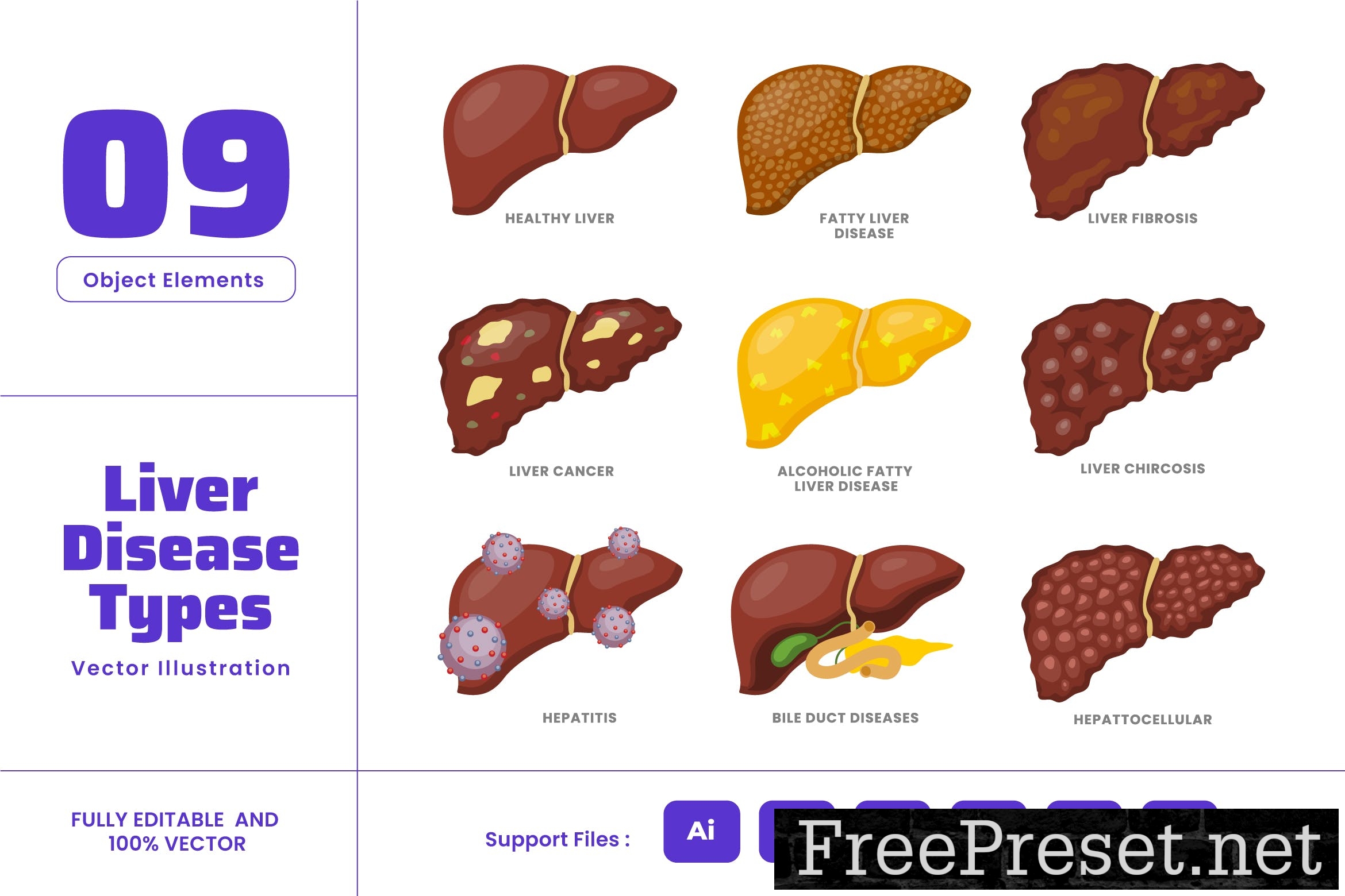 liver-disease-internal-human-body-organ-cancer-l59877c