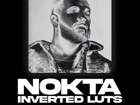 MoonBear - NOKTA Inverted Luts & Filters