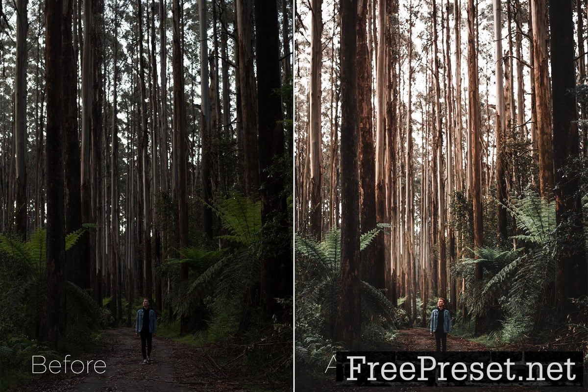 Zack Watson - The Master Collection Lightroom Preset Pack