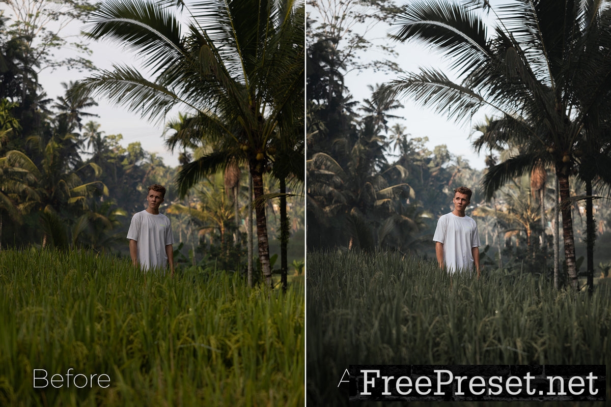 Zack Watson - The Master Collection Lightroom Preset Pack