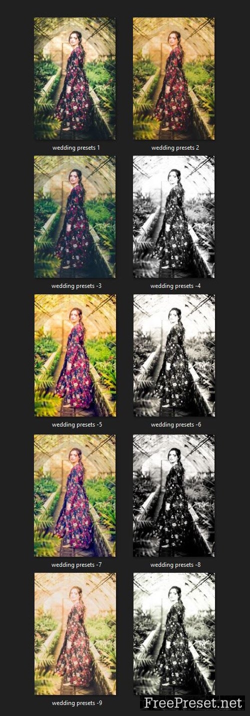 10 Premium Wedding Mobile & Desktop Lightroom Presets